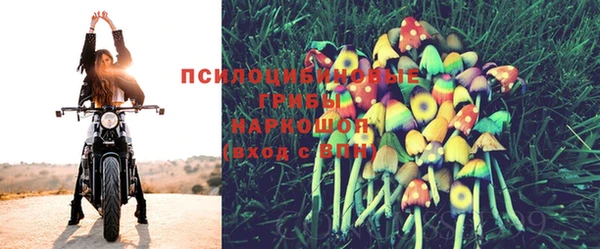 метадон Зеленодольск