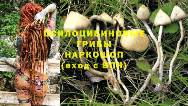 кокс Зеленокумск